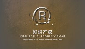 专业法律与财务咨询服务，首选胜法网